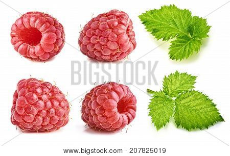 Ripe raspberry isolated on white background. Collection of raspberry and raspberry leaves. Macro photography with great depth of field. DoF.