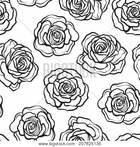 Rose flower seamless pattern. Outline black roses on white background. Stock vector.