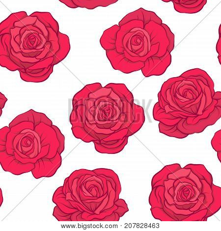 Seamless pattern with red roses on white background. Stock vector.
