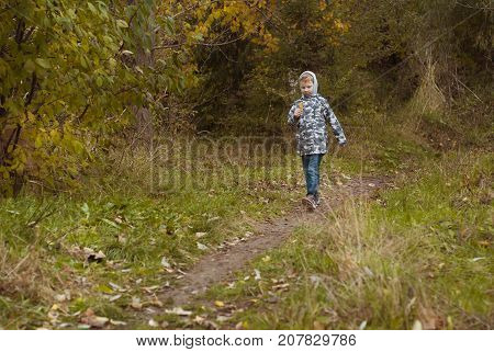 Little boy in autumn Park, the child goes on the trail in the woods, the beauty of the fall season, a happy childhood