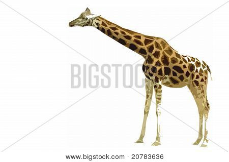 Ritaglio di giraffa