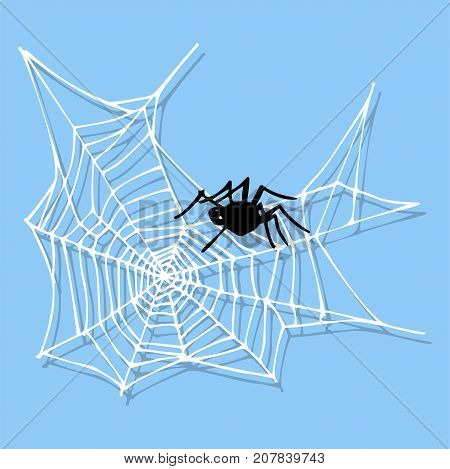 Spider web silhouette arachnid fear graphic flat scary animal poisonous design nature phobia insect danger horror tarantula halloween vector icon. Creepy warning symbol poison silhouette.