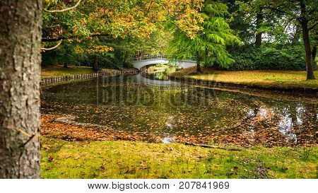 Romatic park with beautiful autumn light. A bright autumn day with beautiful autumn trees full of autumn colors. A decorative bridge lies across the water between two islets and makes it an idyllic picture
