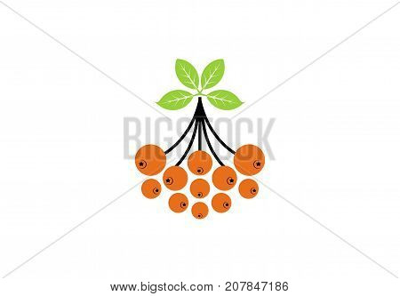 Rowan icon or logo in modern line style. Vector illustration on a white background