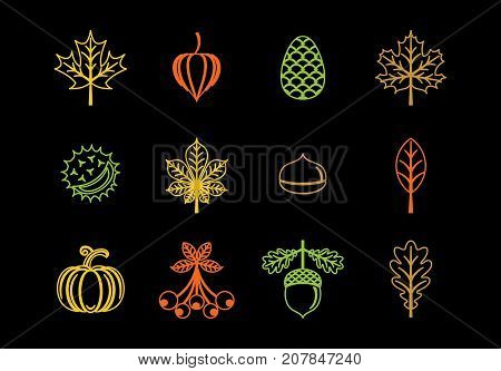 Autumn icons in modern line style. Vector illustration on a black background