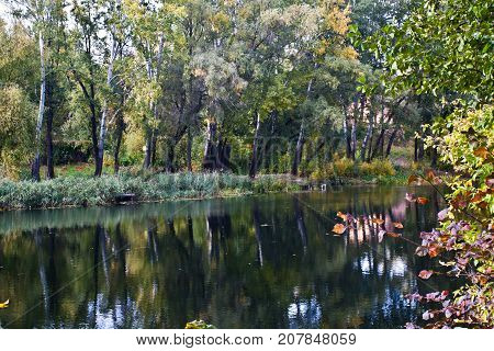 Autumn Rechka Psel - will be an excellent gadget screensaver