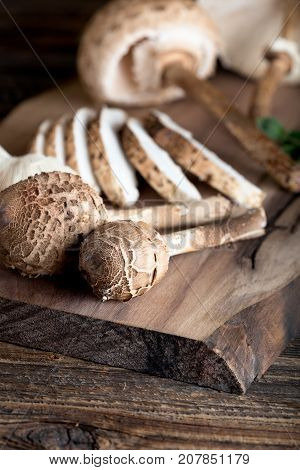 Macrolepiota Procera Is A Very Tasty Edible Mushroom