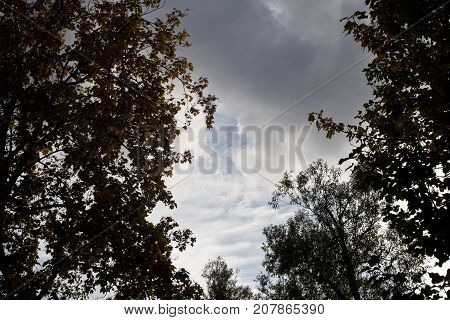 Autumn sky is a beautiful screensaver for your gadget ..