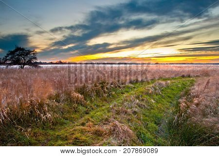 Long exposure image of Spiritual Trail through reed Field on Lakeside during Sunset leading to Succes and prosperity