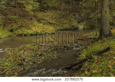 Chribska Kamenice river in national park Ceske Svycarsko in autumn morning