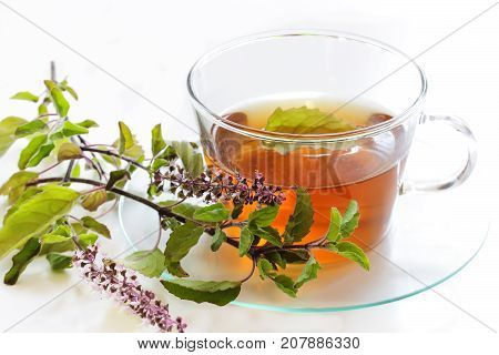 Tulsi Tea isolated on white selective focus