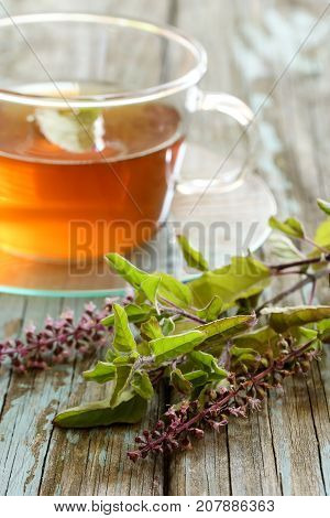 Tulsi Tea served in a cup with fresh leaves on the side selective focus