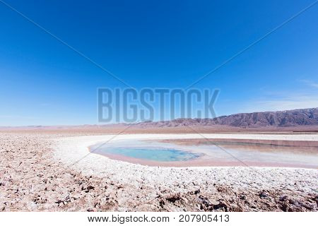 beautiful landscape view of salty lagoon in lagunas escondidas park in atacama desert chile