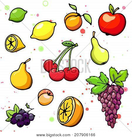 Collection of cartoon juicy fruits and berry. Vector illustration. Set of colorful fruit and berry icons. Isolated on white. Fruit web icon hand drawn in doodle style. On watercolor drops background