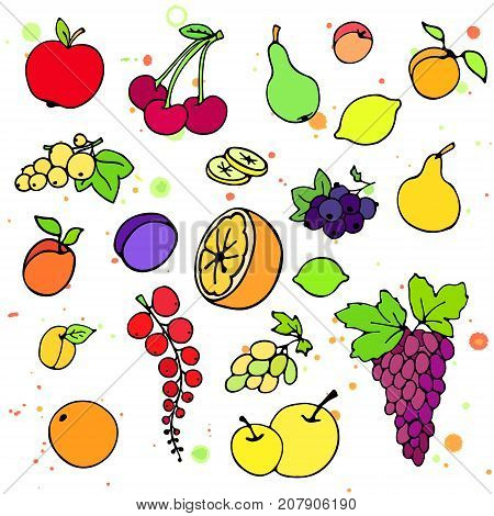 Collection of cartoon juicy fruits and berry. Vector illustration. Set of colorful fruit and berry icons. Isolated on white. Fruit web icon hand drawn in doodle style. On watercolor drops background