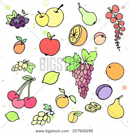 Collection of cartoon juicy fruits and berry. Vector illustration. Set of colorful fruit and berry icons. Isolated on white. Fruit web icon hand drawn in doodle style. On watercolor drops background