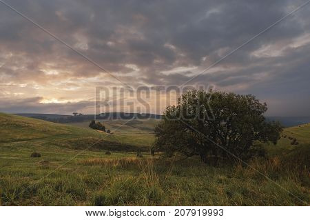 Summer landscape of the oblique fields of the Caucasus with cylindrical bales of hay at sunset and green beautiful trees. A classic rural landscape on a foggy morning or a cloudy evening. The concept of tranquility and peace outside the city