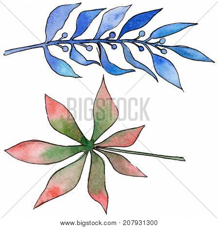 Tropical Hawaii leaves in a watercolor style isolated. Aquarelle wild flower for background, texture, wrapper pattern, frame or border.