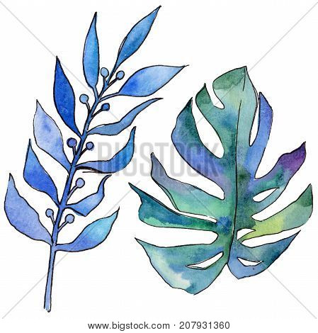 Tropical Hawaii leaves in a watercolor style isolated. Aquarelle wild flower for background, texture, wrapper pattern, frame or border.