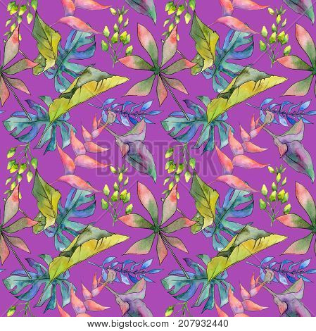 Tropical Hawaii leaves pattern in a watercolor style. Aquarelle wild flower for background, texture, wrapper pattern, frame or border.