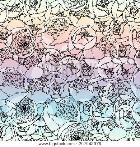 Seamless background pattern. Hand-drawn pion-shaped roses on blurred background.