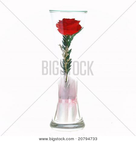 La rosa In un bicchiere