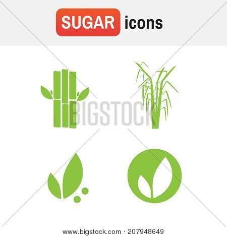 Sugar Cane Sugarcane. Sugar Cane Vector Icons