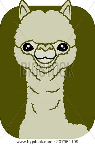 Cute big eyes alpaca character vector illustration