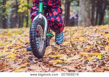 Little Boy Having Fun On Bikes In Autumn Forest. Selective Focus On Boy