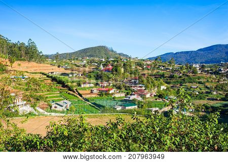 Nuwara Eliya City View