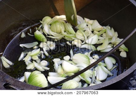 frying fresh onios in the garden on open fire