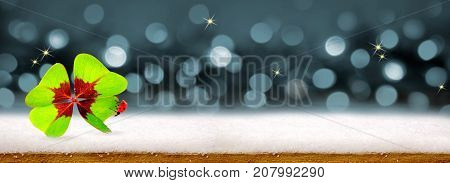 Gray holiday bokeh background with four leaf clover and ladybird. Blurred Lights Abstract background and snow.