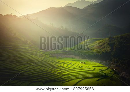 Rice fields on terraced with wooden pavilion at sunrise in Mu Cang Chai YenBai Vietnam.