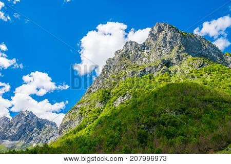 Picturesque Snow-capped Peaks Of High Mountains.