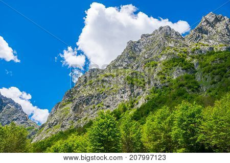 Picturesque Snow-capped Peaks Of High Mountains.