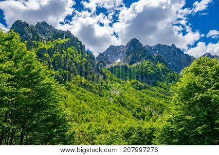 Picturesque Snow-capped Peaks Of High Mountains.