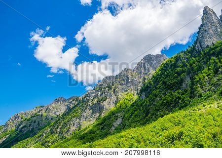 Picturesque Snow-capped Peaks Of High Mountains.