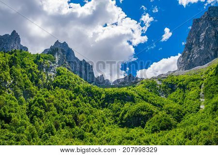 Picturesque Snow-capped Peaks Of High Mountains.