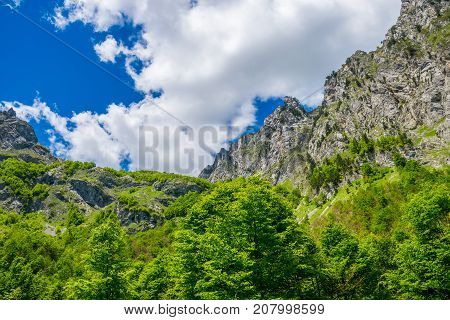 Picturesque Snow-capped Peaks Of High Mountains.