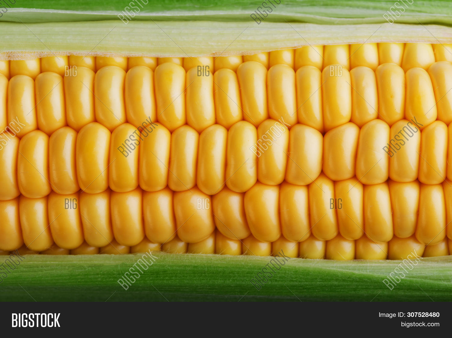 Corn Grains Close Image & Photo (Free Trial) Bigstock