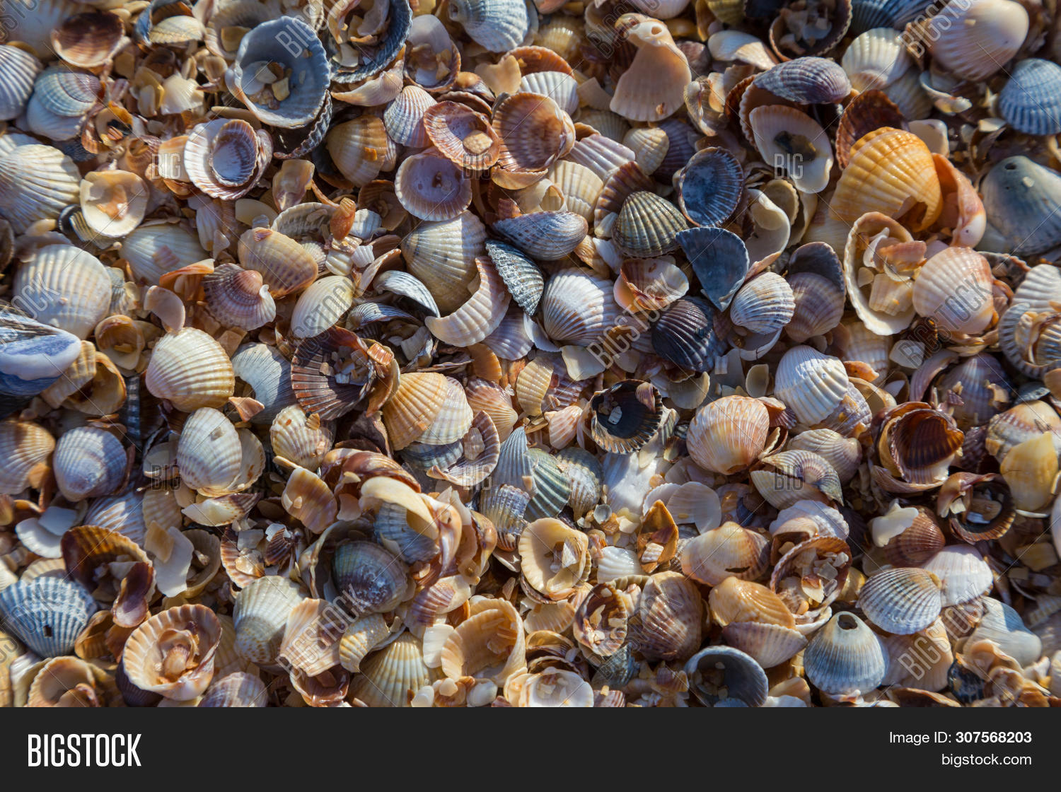 Abstract Natural Image & Photo (Free Trial) | Bigstock