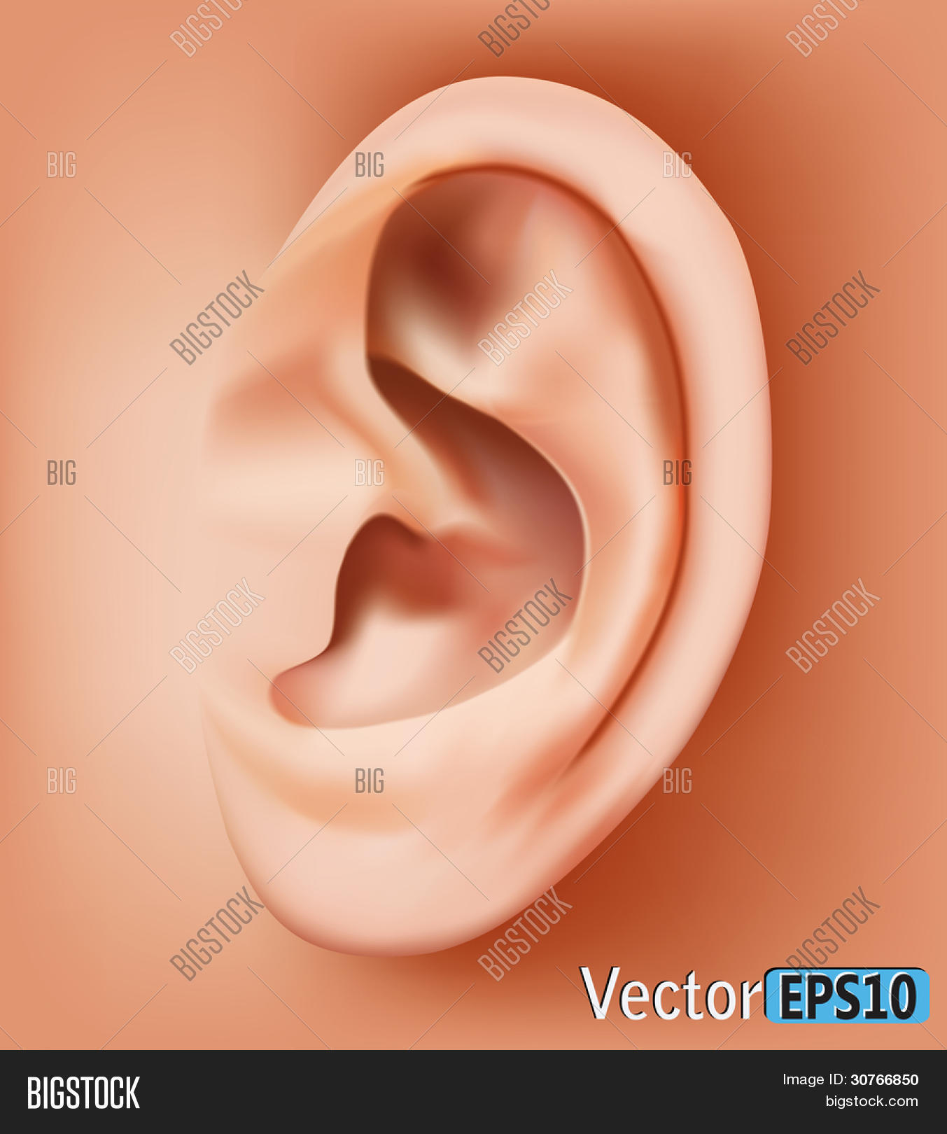 К чему горит правое ухо. Запекшаяся кровь в ушах. Уши гор. Горит ушко правого уха. Хо хо.