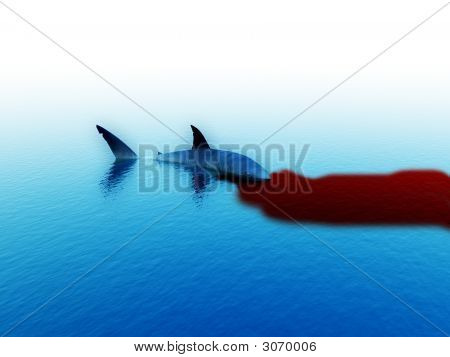 Tiburón con sangre