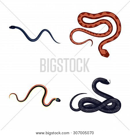 Vector Illustration Of Poison And Evil Logo. Set Of Poison And Bite Stock Vector Illustration.
