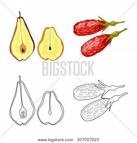 Vector Illustration Of Food And Raw Logo. Set Of Food And Nature Stock Vector Illustration.