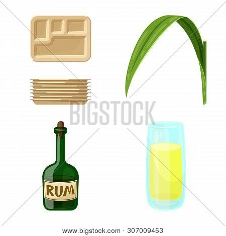 Vector Design Of Sugarcane And Cane Logo. Set Of Sugarcane And Field Vector Icon For Stock.