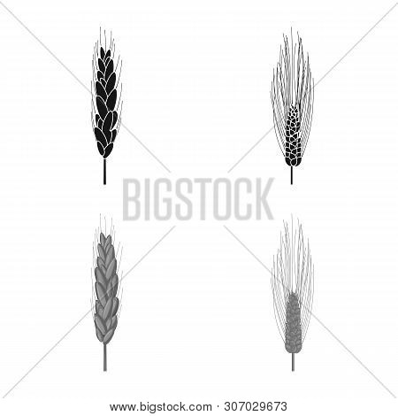 Vector Design Of Agriculture And Farming Icon. Set Of Agriculture And Plant Vector Icon For Stock.