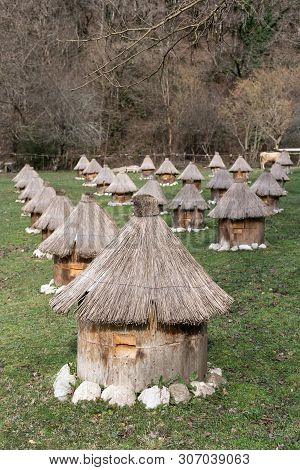 Apiary In The Mountains With Many Hives To Collect Honey. Production Of Pure Mountain Honey. Selecti