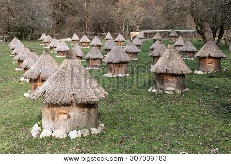 Apiary In The Mountains With Many Hives To Collect Honey. Production Of Pure Mountain Honey. Selecti