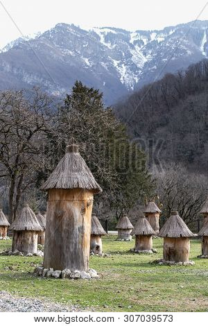 Apiary In The Mountains With Many Hives To Collect Honey. Production Of Pure Mountain Honey. Selecti